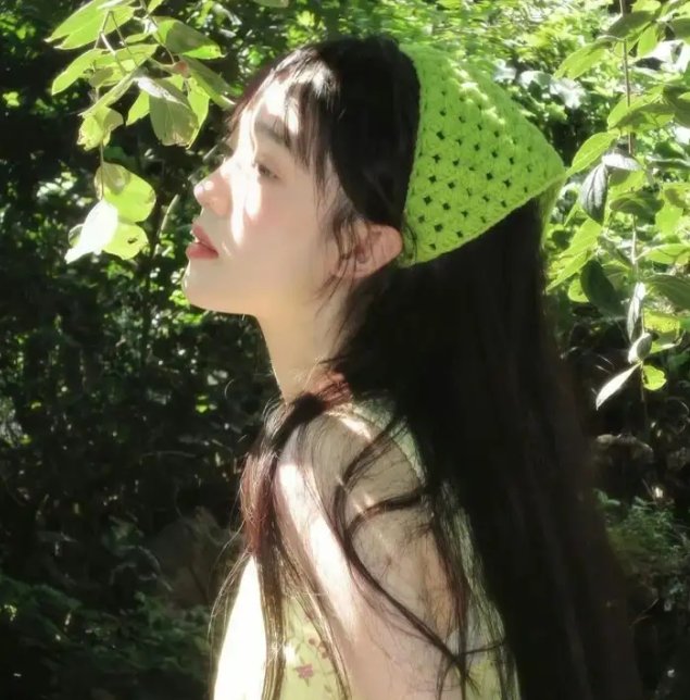 极地先锋