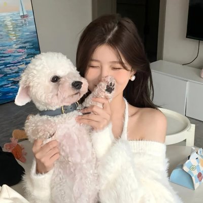 猫咪情缘